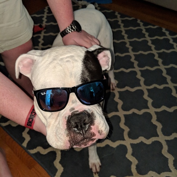 Meet your Posher, Jennifer - Picture 1 of 1